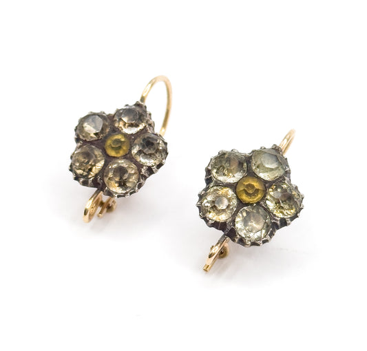 Georgian Paste Flower Conversion Earrings with gold wires