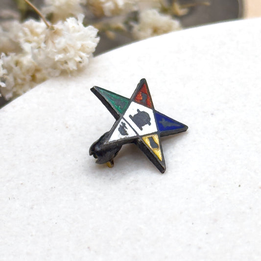 Vintage Masonic Order Eastern Star Pin in Enamel and Sterling Silver