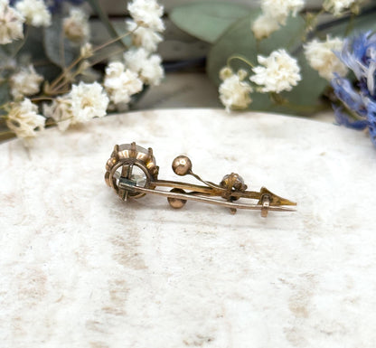 Georgian Halleys Comet Pin with Mine Cut Paste in 10K Yellow Gold