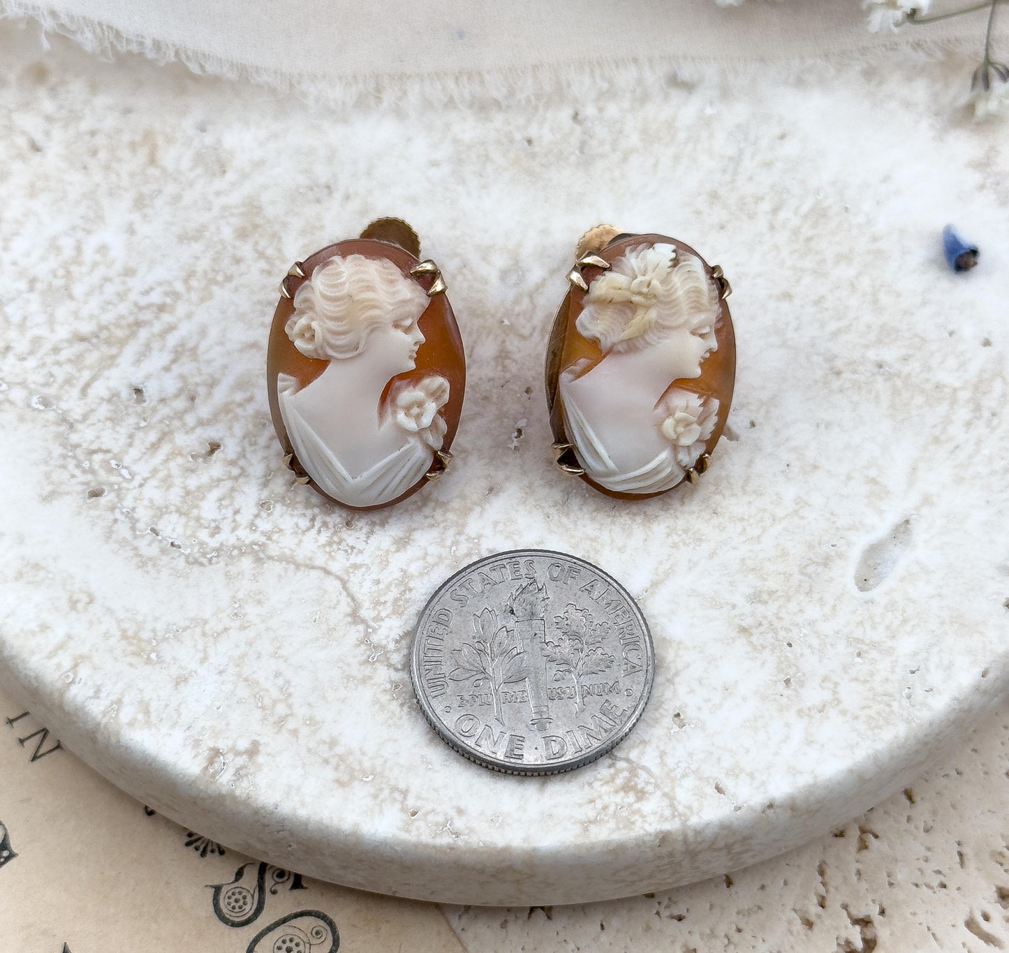 Boxed Antique Shell Cameo Earrings 10K Gold w Screw Backs