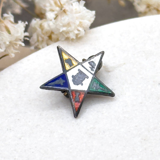 Vintage Masonic Order Eastern Star Pin in Enamel and Sterling Silver