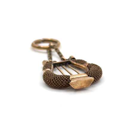 Victorian Sentimental Hairwork Lyre Pendant in 14K Yellow Gold