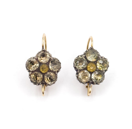 Georgian Paste Flower Conversion Earrings with gold wires