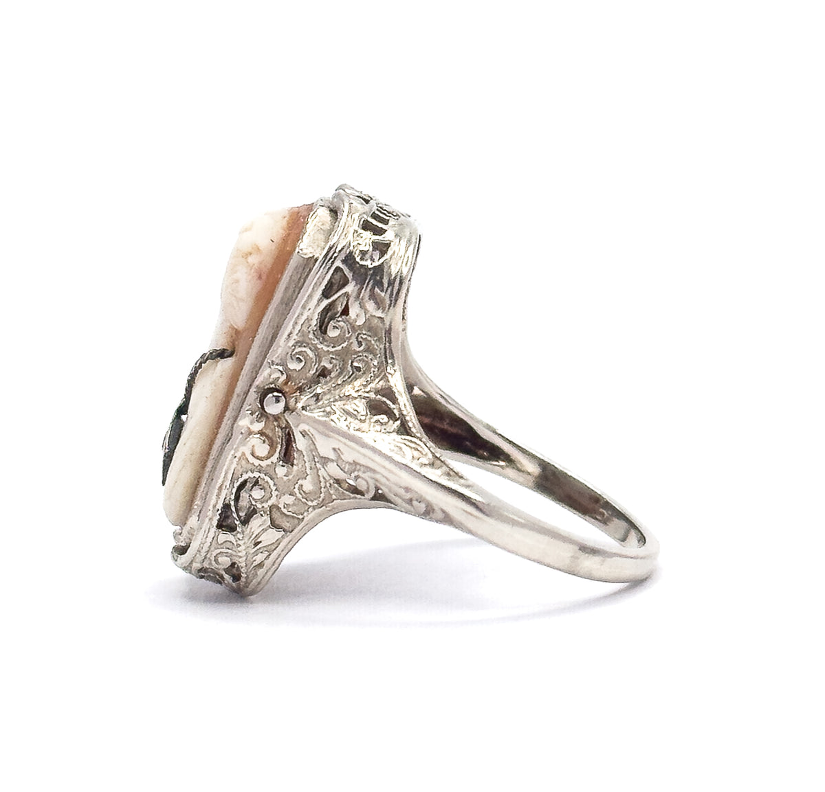 Full side view with the ring standing upright, the white gold gallery's pierced scroll plate broad in profile beneath the face, corner prongs gripping the pale cameo edge, slim shank sweeping behind.