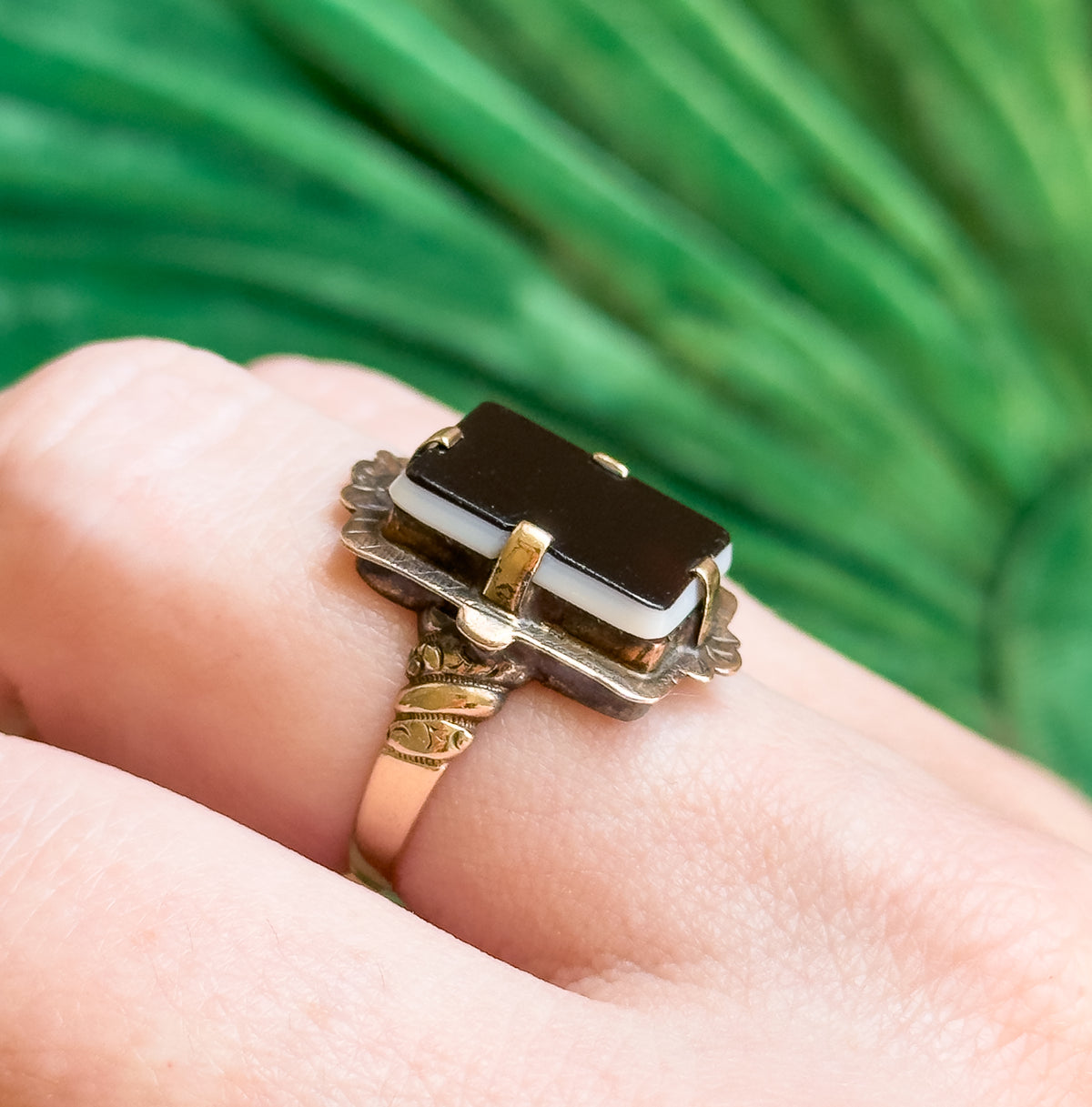 Close three-quarter view on a finger against blurred green foliage, the black-over-white layering of the sardonyx clear in sunlight above the scalloped mount and engraved shoulder.