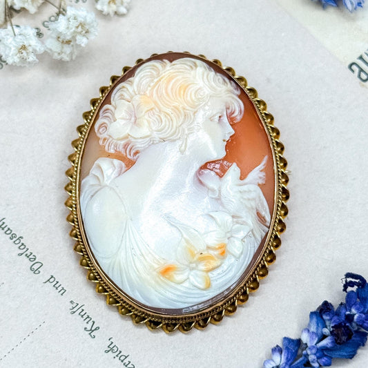 Cameo brooch with a woman's profile on a decorative background with flowers