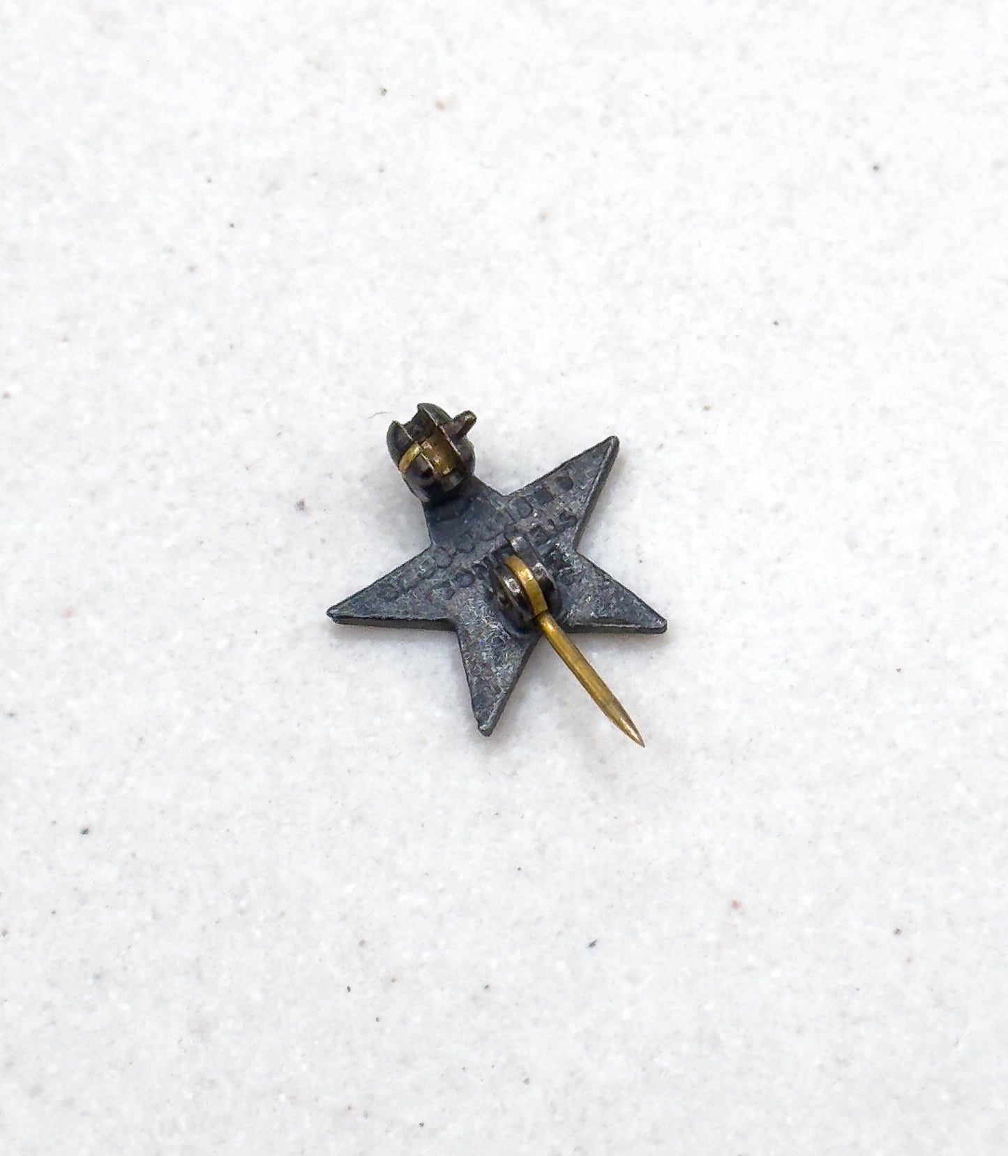 Vintage Masonic Order Eastern Star Pin in Enamel and Sterling Silver