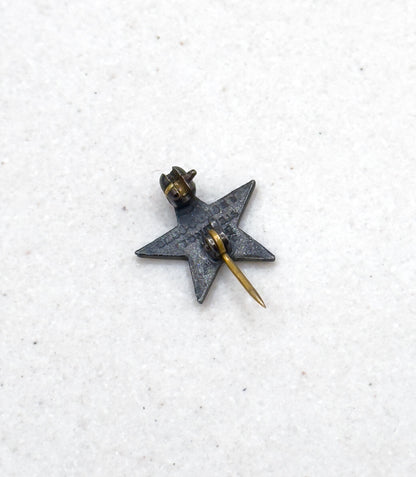Vintage Masonic Order Eastern Star Pin in Enamel and Sterling Silver