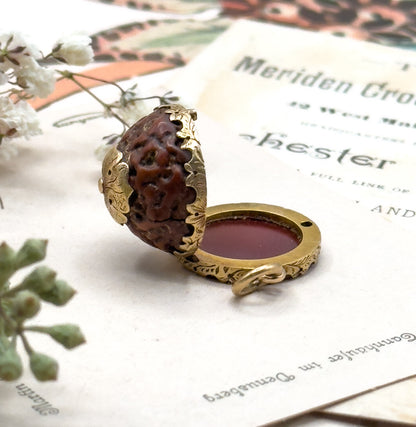 Antique Rudraksha and Carnelian Locket, Georgian Locket Victorian Locket 15K Prayer Seed Pendant Circa 1830s 1850s