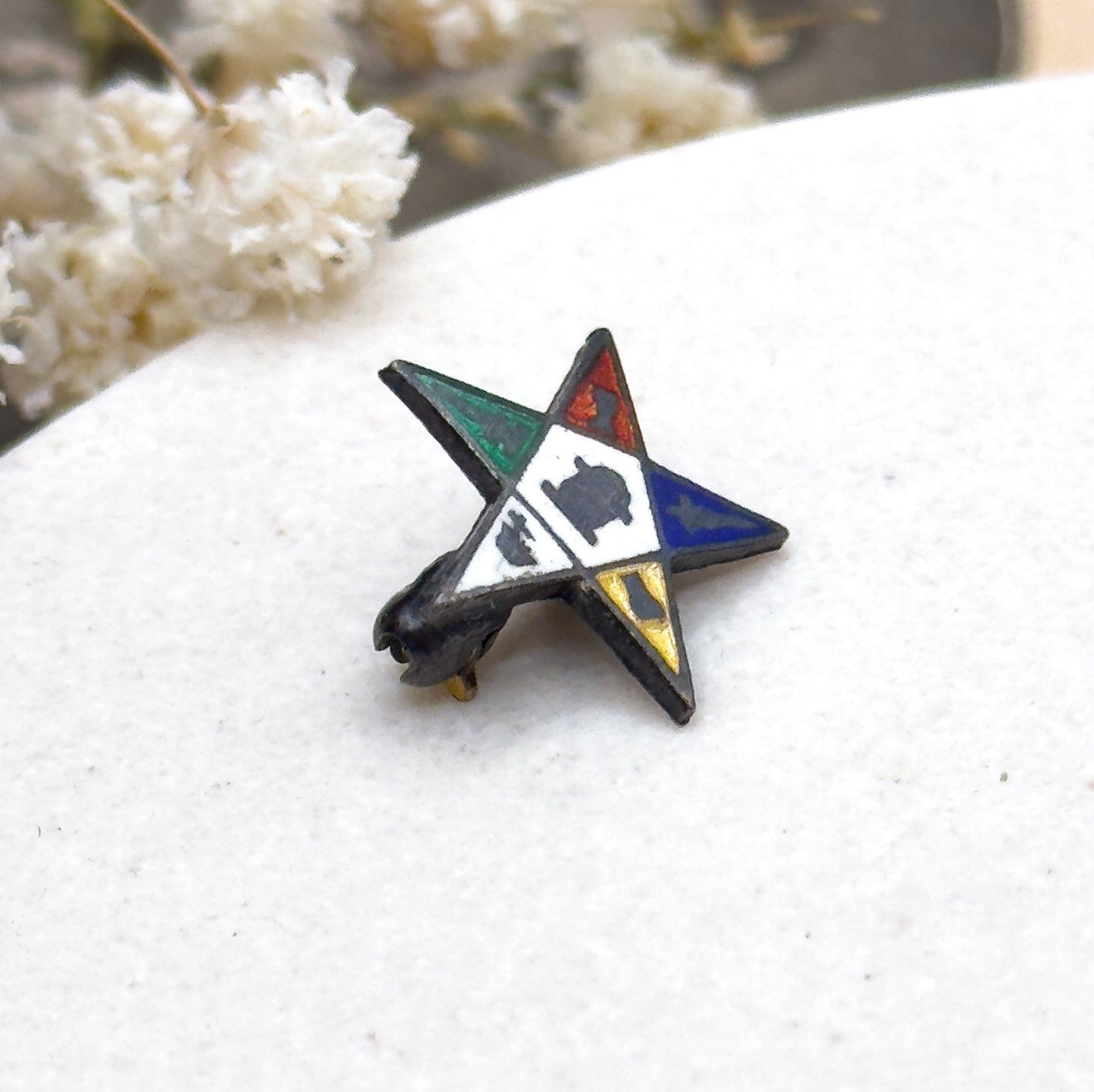Vintage Masonic Order Eastern Star Pin in Enamel and Sterling Silver