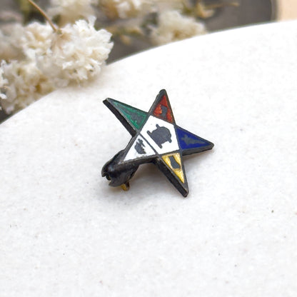 Vintage Masonic Order Eastern Star Pin in Enamel and Sterling Silver