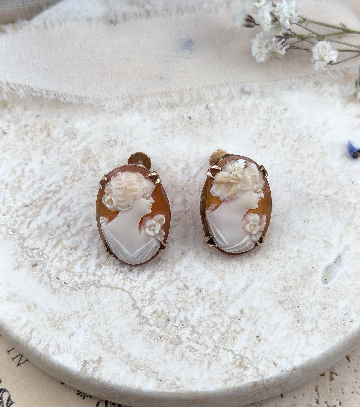 Boxed Antique Shell Cameo Earrings 10K Gold w Screw Backs