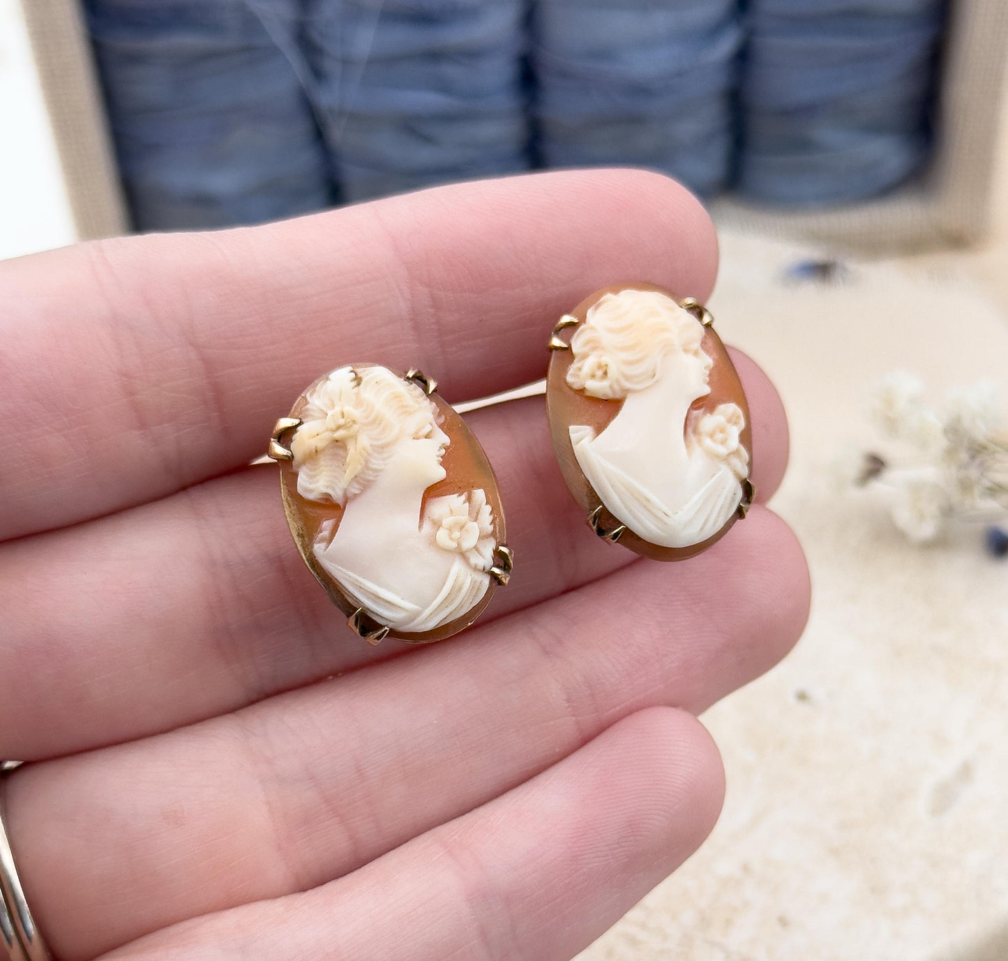 Boxed Antique Shell Cameo Earrings 10K Gold w Screw Backs