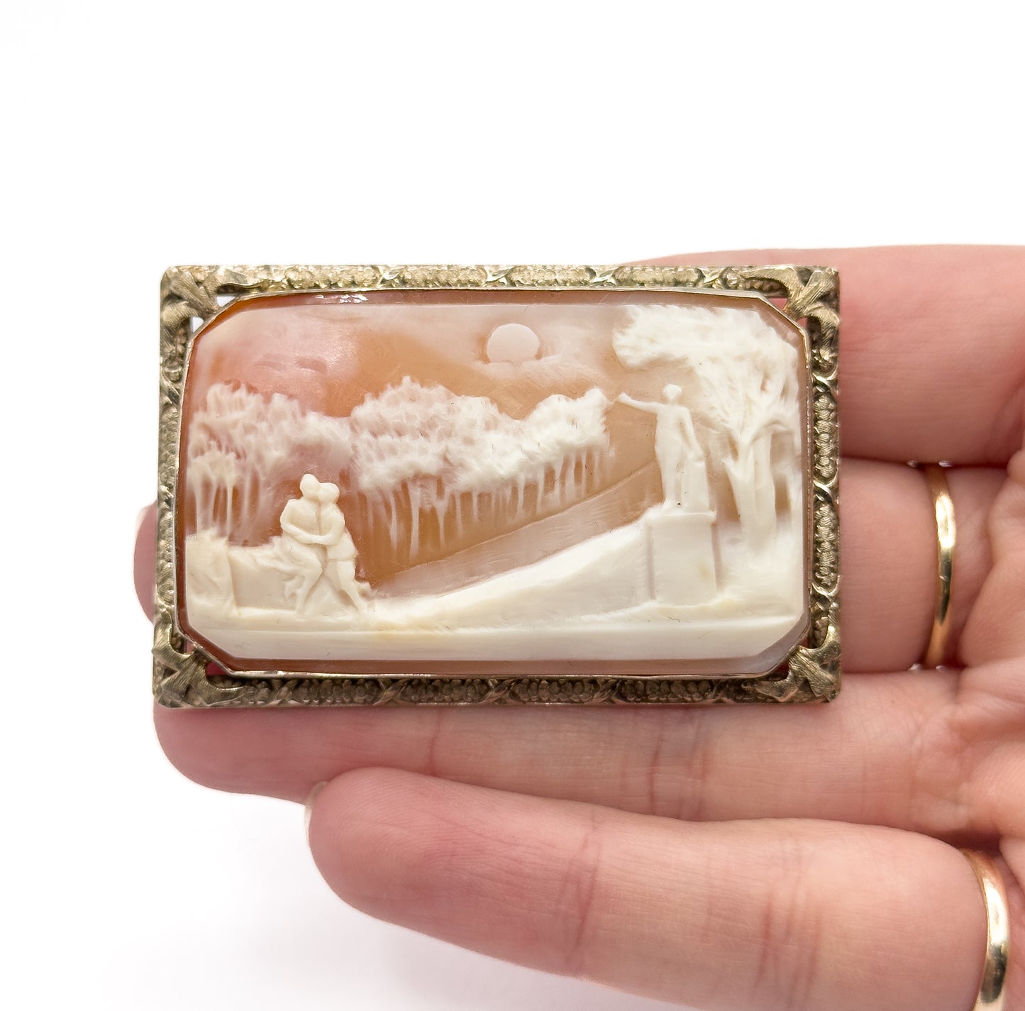 Edwardian Carved Shell Cameo Brooch in 14K Yellow Gold