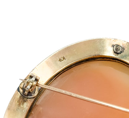 A close macro of the back edge, showing a small stamped mark on the gold rim, the hinge fitting and the slender pin stem crossing the caramel underside of the shell.