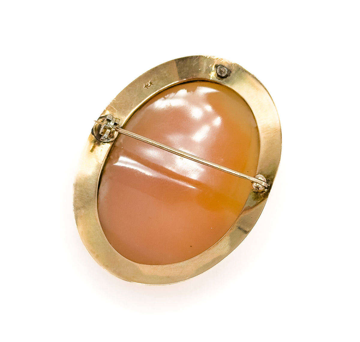 The reverse seen whole against white, the smooth caramel back of the shell filling the plain gold rim, with the hinge, straight pin stem and catch spanning it across.