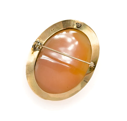 The reverse seen whole against white, the smooth caramel back of the shell filling the plain gold rim, with the hinge, straight pin stem and catch spanning it across.