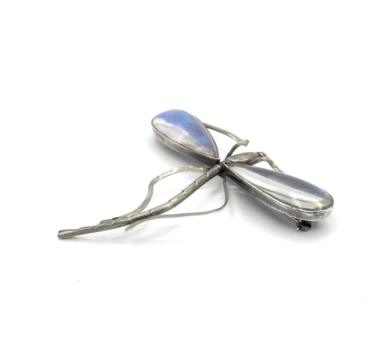 A low three-quarter view from the side, the two domed wings catching blue and purple sheen, with the textured body, open wire wing frames and long tail angling toward the viewer.