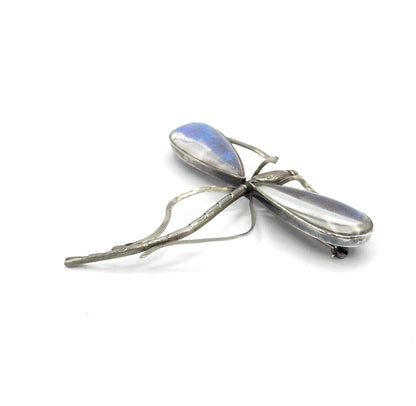 A low three-quarter view from the side, the two domed wings catching blue and purple sheen, with the textured body, open wire wing frames and long tail angling toward the viewer.