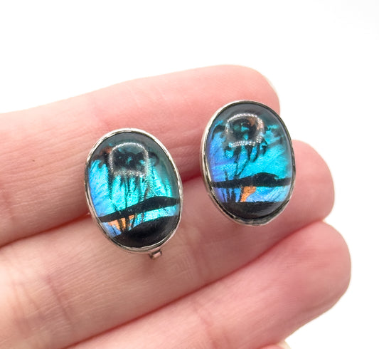 Vintage Screwback Butterfly Wing Souvenir Earrings in SIlver