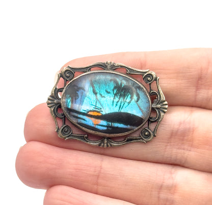Vintage Butterfly Wing Cabochon Brooch in Sterling Silver