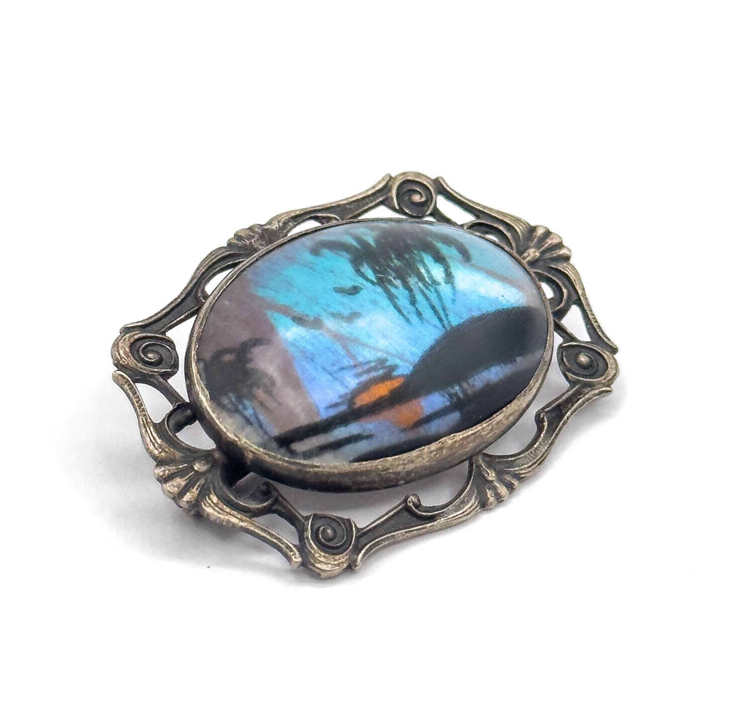 Vintage Butterfly Wing Cabochon Brooch in Sterling Silver