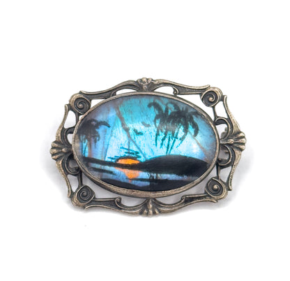 Vintage Butterfly Wing Cabochon Brooch in Sterling Silver