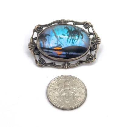 Vintage Butterfly Wing Cabochon Brooch in Sterling Silver