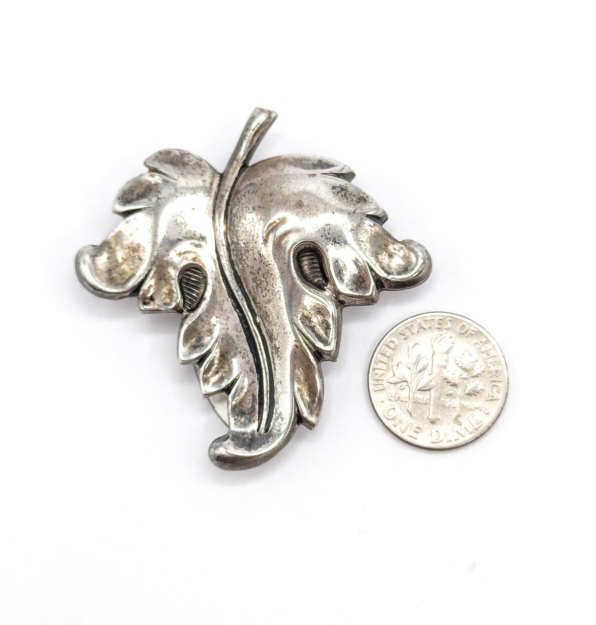 A single leaf clip face-up on white beside a ten-cent coin, the coin showing how the leaf spans roughly twice its width, with patina pooled in the veined hollows.