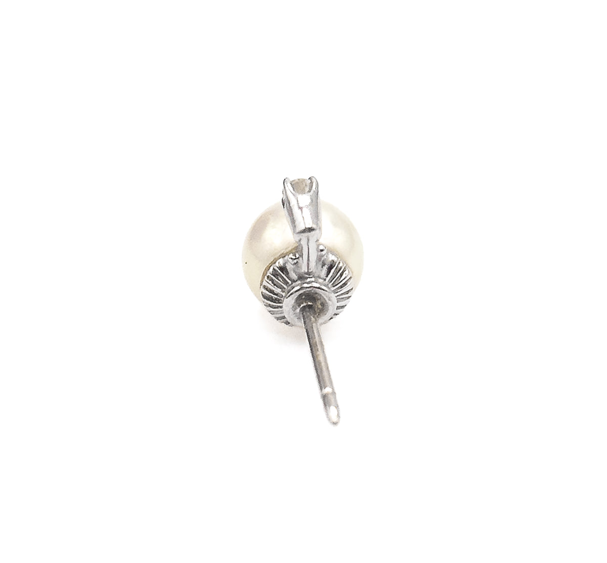 Seen from behind at closer range, the fluted buttercup gallery and prong tips stand out against the creamy pearl, with the slim post angling down toward the lower edge.