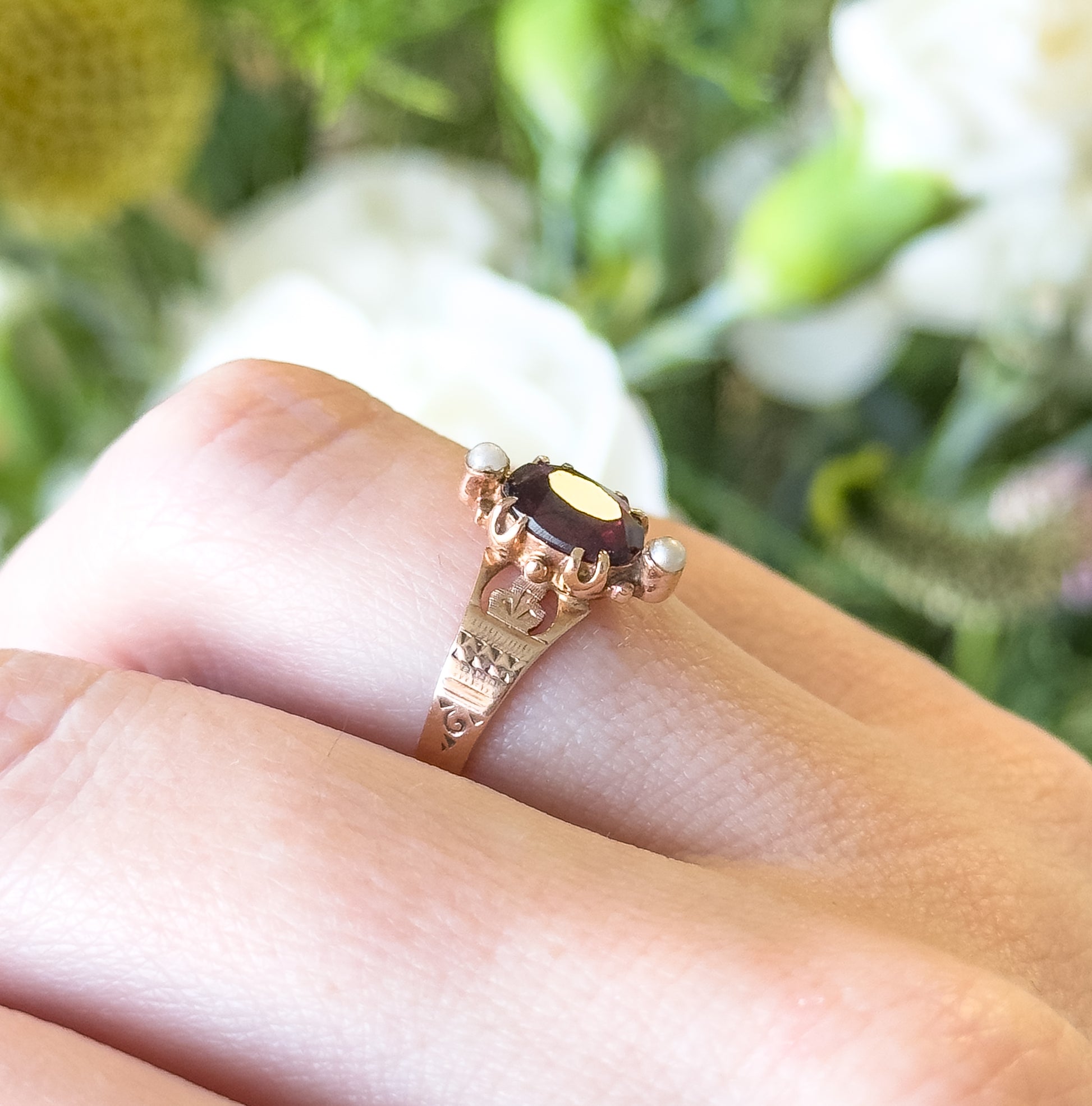 SB204