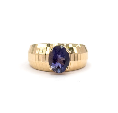 Face-on from the front, the oval iolite sits upright between four prongs at the centre of the wide stepped band, whose vertical facets flare symmetrically to either side.