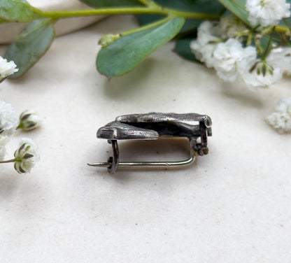 Victorian Swan Brooch in Silver with Red Glass Gem Set Cabochon Eye Bird