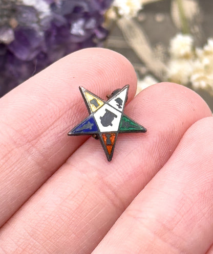 Vintage Masonic Order Eastern Star Pin in Enamel and Sterling Silver