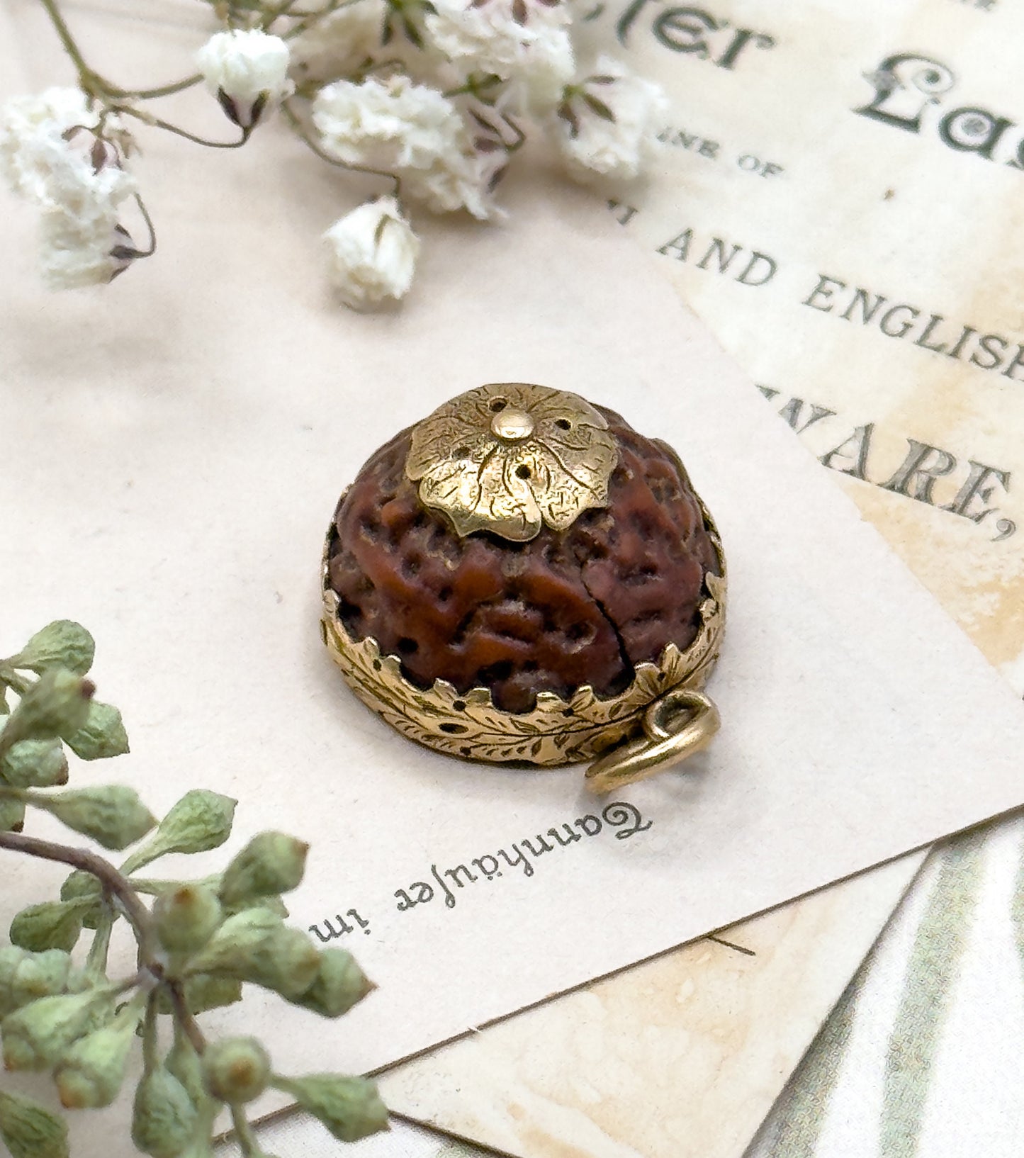 Antique Rudraksha and Carnelian Locket, Georgian Locket Victorian Locket 15K Prayer Seed Pendant Circa 1830s 1850s